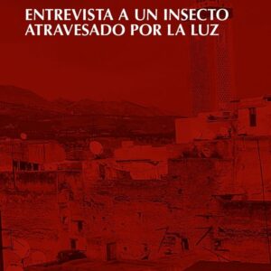 Entrevista a un insecto atravesado por la luz
