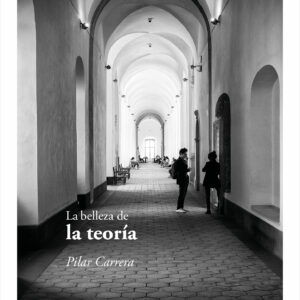 La belleza de la teoría