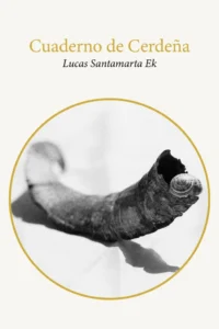Cuaderno_de_Cerdena_Lucas_santamarta
