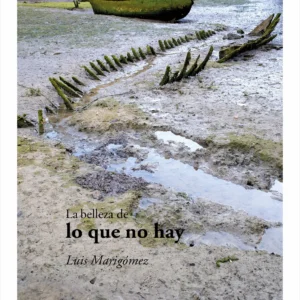9791388299353_La_Belleza_De_Lo_Que_No_Hay